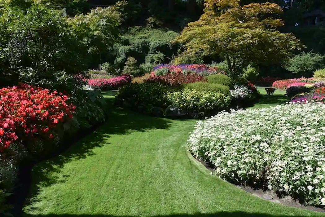Visit the Butchart Gardens