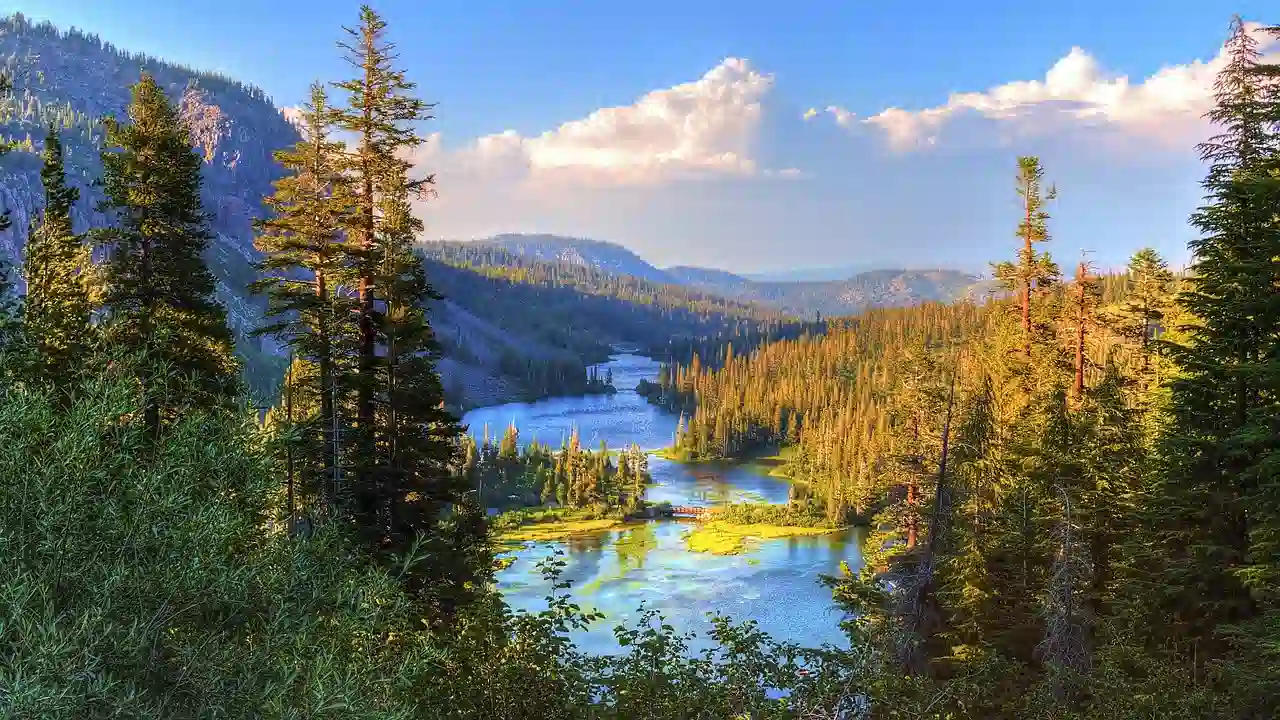 Abundant trees beside river and mountains in Vancouver Island